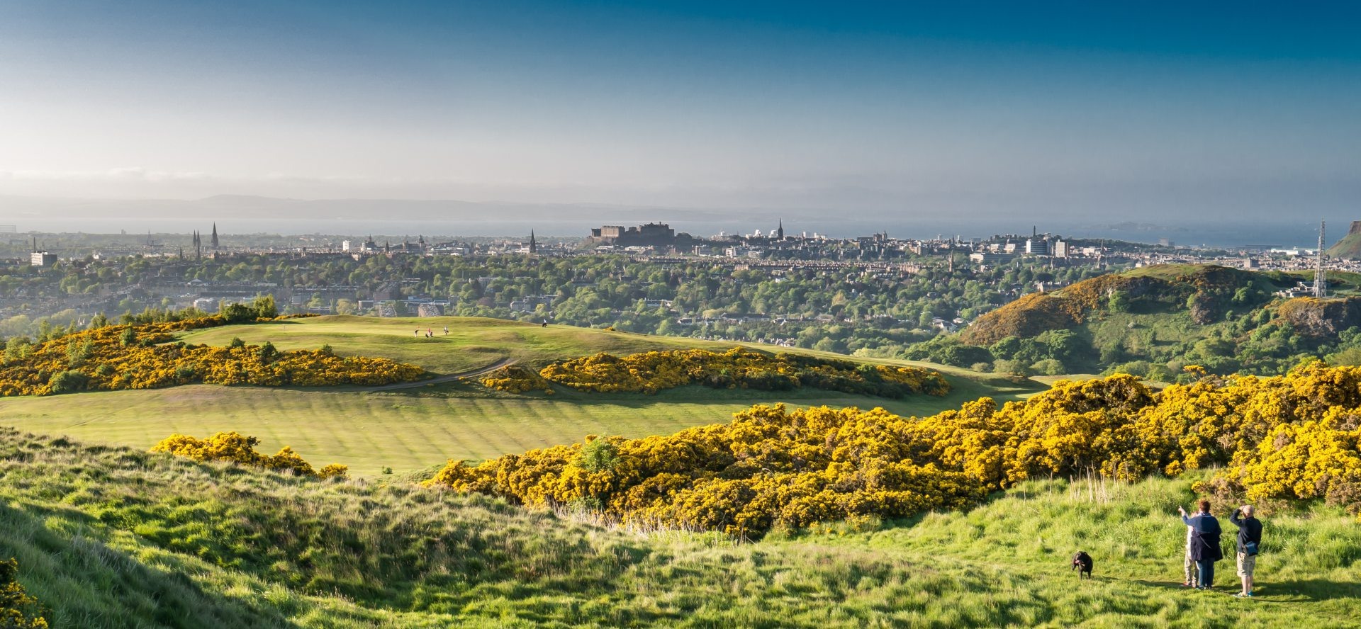 Braid Hills