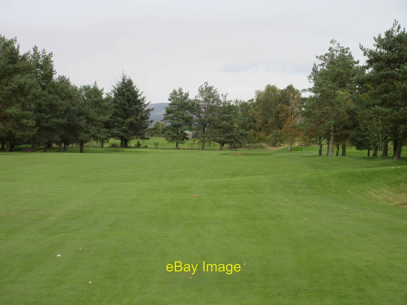 Edzell